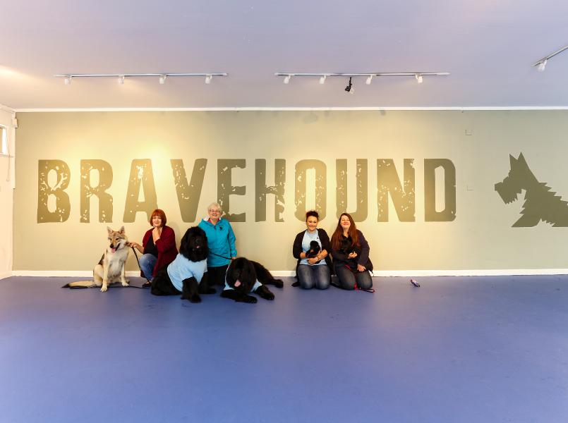 Bravehound - Image 2 Bravehound - Image 2